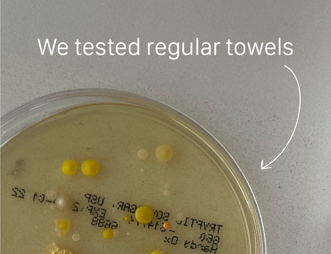 Bamteek’s Culture Test